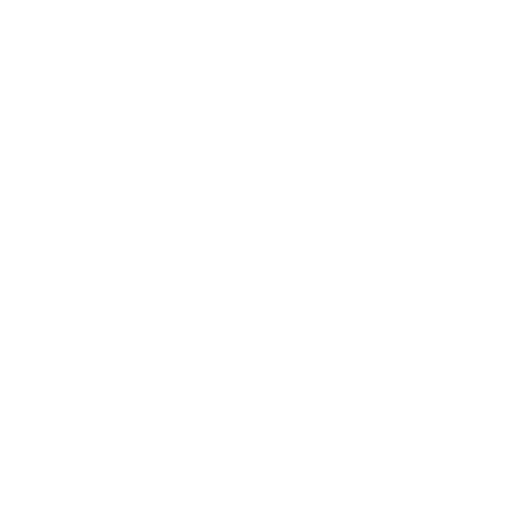 Logo Excel al Siguiente Nivel